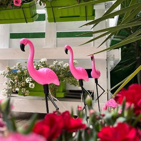 Casa Flamingo Hotel Figueira da Foz Exterior photo